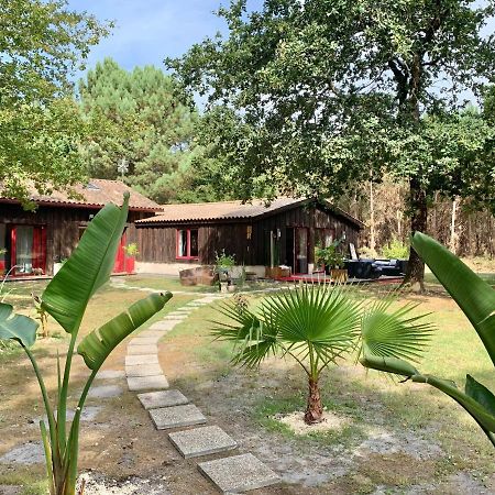 Hacienda De La Canopee Avec Piscine Chauffee Au Sel Hourtin Eksteriør billede