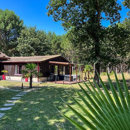 Hacienda De La Canopee Avec Piscine Chauffee Au Sel Hourtin Eksteriør billede