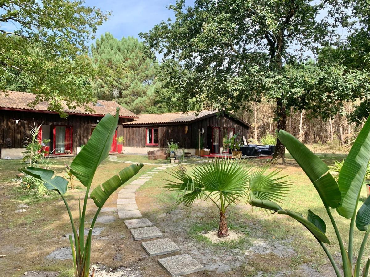 Hacienda De La Canopee Avec Piscine Chauffee Au Sel Hourtin Eksteriør billede