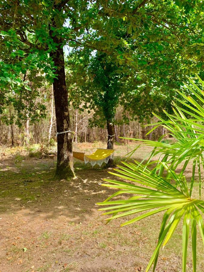 Hacienda De La Canopee Avec Piscine Chauffee Au Sel Hourtin Eksteriør billede
