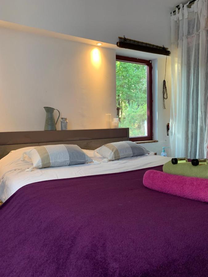 Hacienda De La Canopee Avec Piscine Chauffee Au Sel Hourtin Eksteriør billede