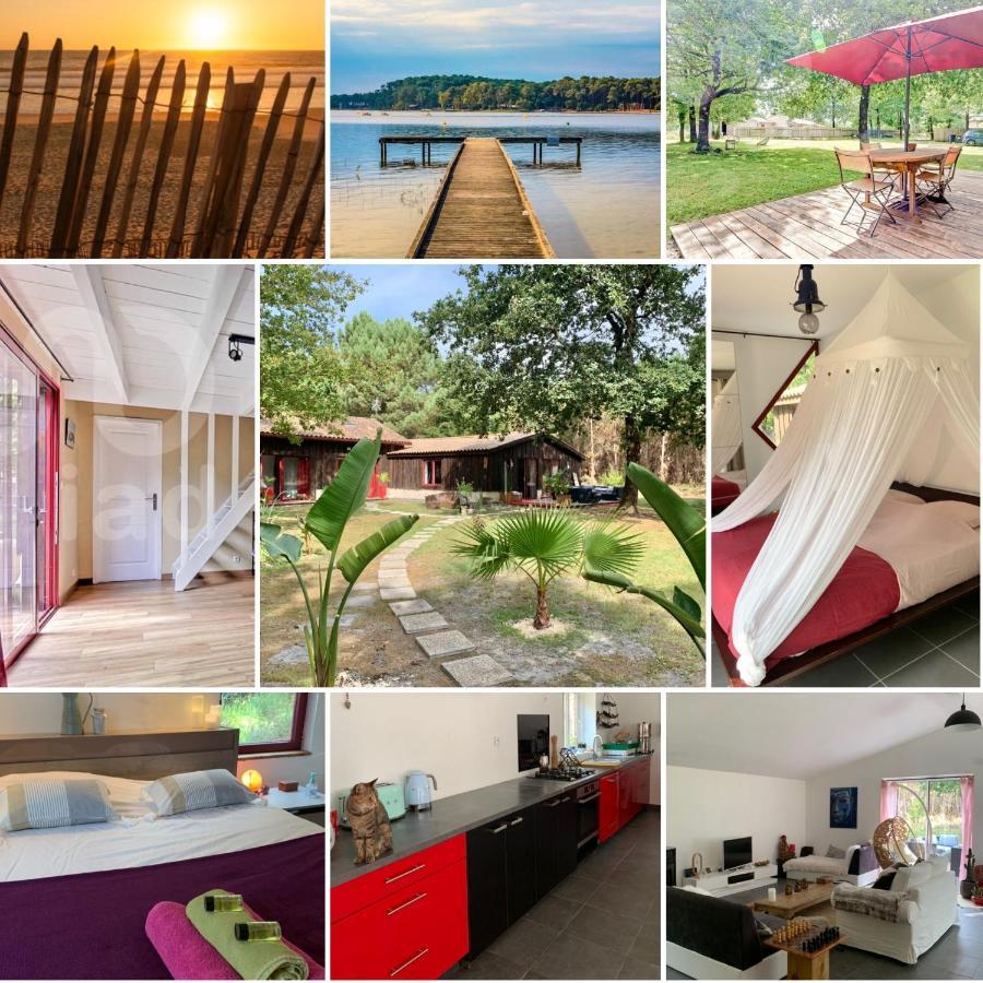 Hacienda De La Canopee Avec Piscine Chauffee Au Sel Hourtin Eksteriør billede