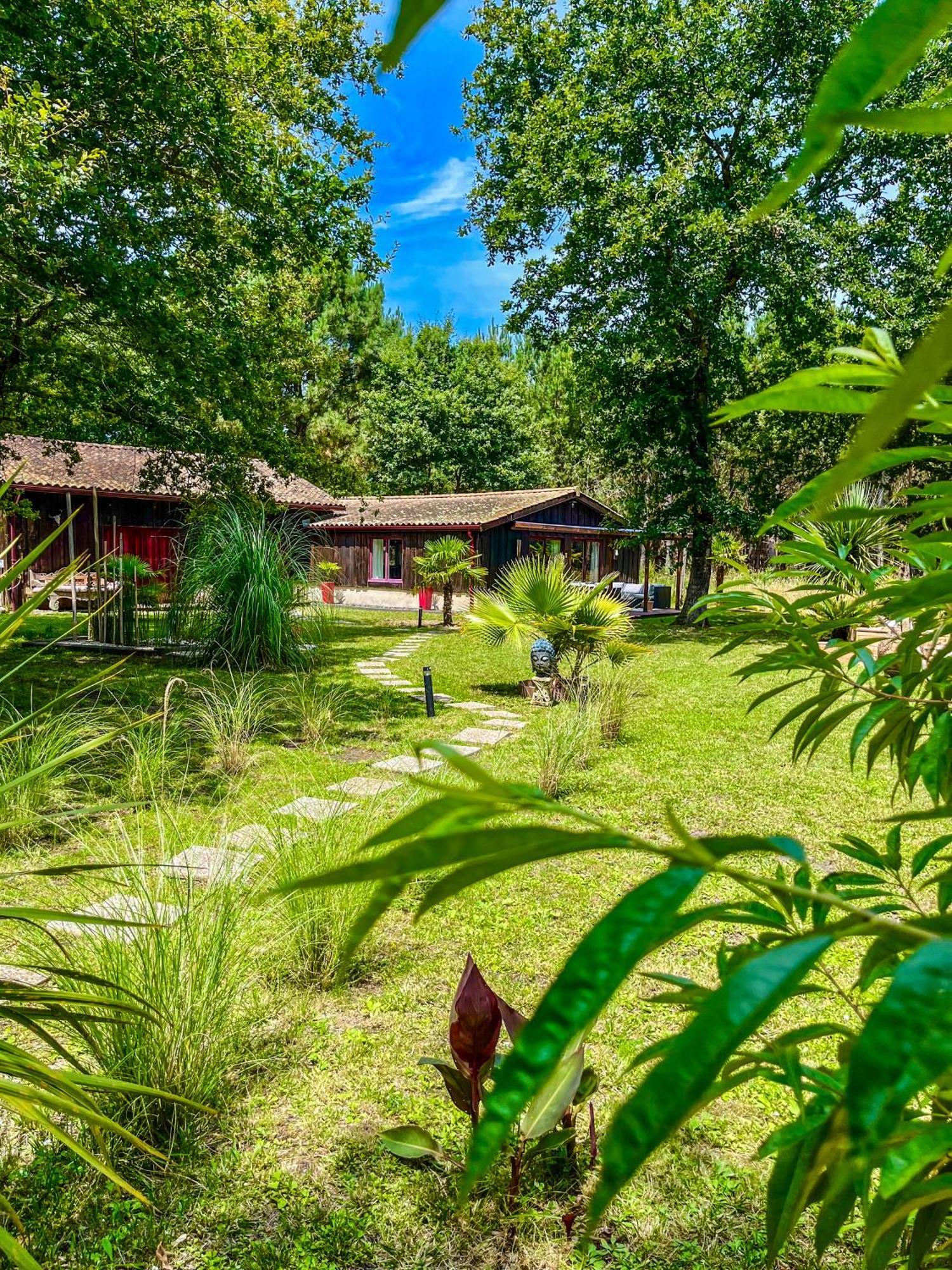 Hacienda De La Canopee Avec Piscine Chauffee Au Sel Hourtin Eksteriør billede